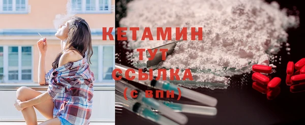 молекула духа Снежногорск