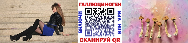 цена   Солнечногорск  Галлюциногенные грибы Psilocybine cubensis 