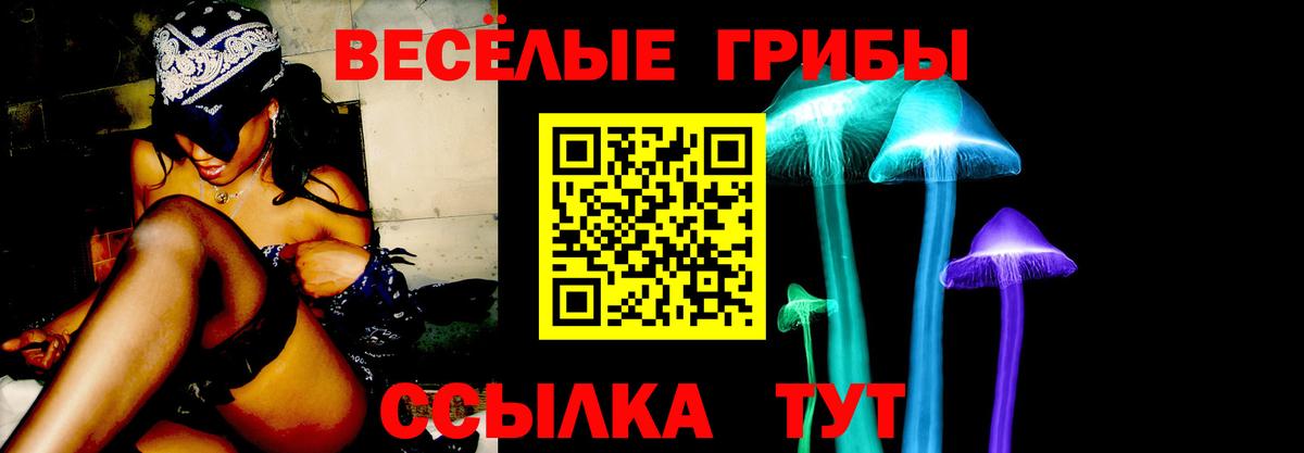 Галлюциногенные грибы Magic Shrooms  где купить наркотик  Солнечногорск  Вход с VPN 